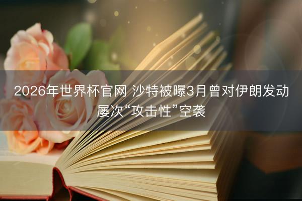 2026年世界杯官网 沙特被曝3月曾对伊朗发动屡次“攻击性”空袭