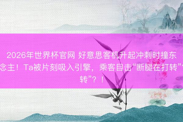 2026年世界杯官网 好意思客机升起冲刺时撞东说念主!Ta被片刻吸入引擎,乘客目击“断腿在打转”?!
