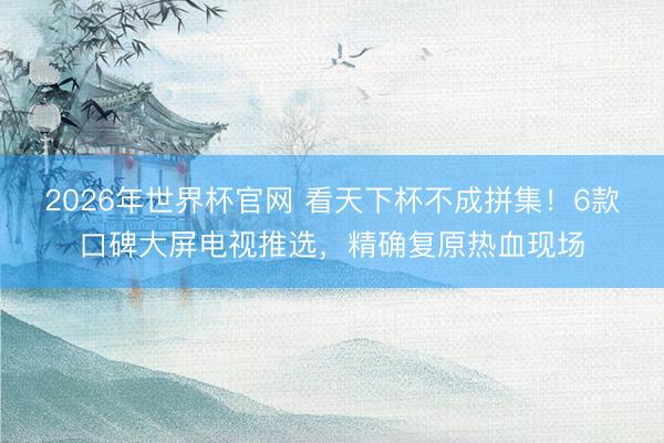 2026年世界杯官网 看天下杯不成拼集！6款口碑大屏电视推选，精确复原热血现场