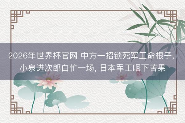 2026年世界杯官网 中方一招锁死军工命根子, 小泉进次郎白忙一场, 日本军工咽下苦果