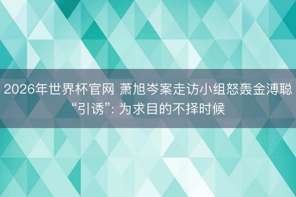 2026年世界杯官网 萧旭岑案走访小组怒轰金溥聪“引诱”: 为求目的不择时候
