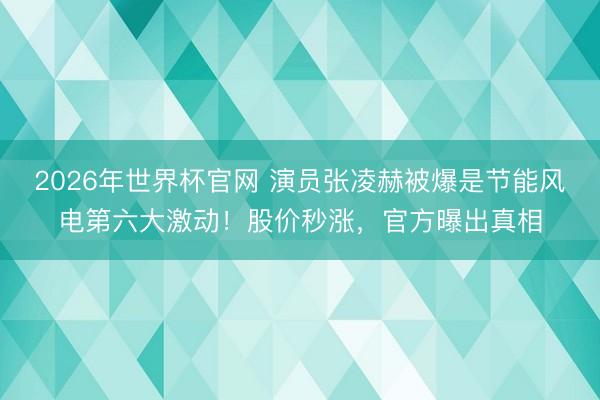 2026年世界杯官网 演员张凌赫被爆是节能风电第六大激动！股价秒涨，官方曝出真相