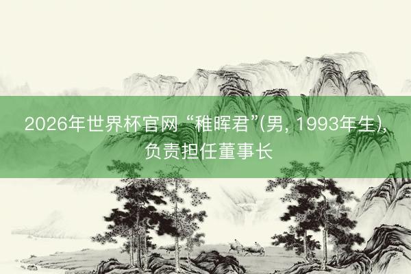 2026年世界杯官网 “稚晖君”(男， 1993年生)， 负责担任董事长