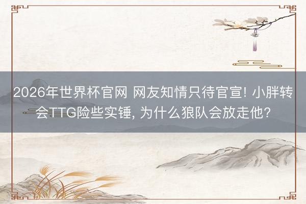 2026年世界杯官网 网友知情只待官宣! 小胖转会TTG险些实锤, 为什么狼队会放走他?