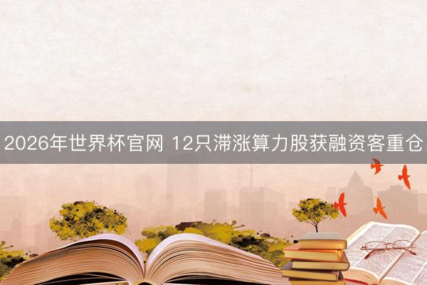 2026年世界杯官网 12只滞涨算力股获融资客重仓