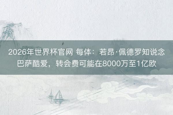 2026年世界杯官网 每体：若昂·佩德罗知说念巴萨酷爱，转会