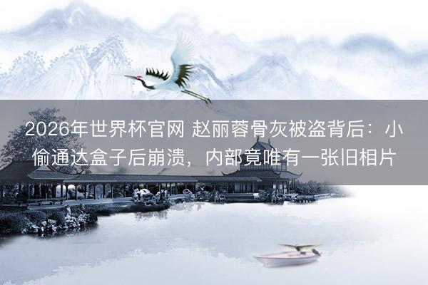 2026年世界杯官网 赵丽蓉骨灰被盗背后：小偷通达盒子后崩溃，内部竟唯有一张旧相片