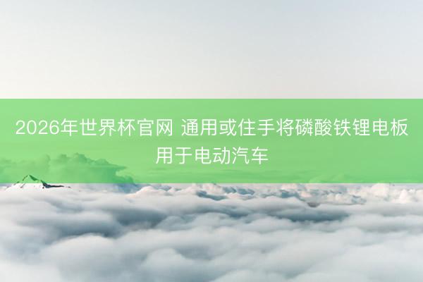 2026年世界杯官网 通用或住手将磷酸铁锂电板用于电动汽车