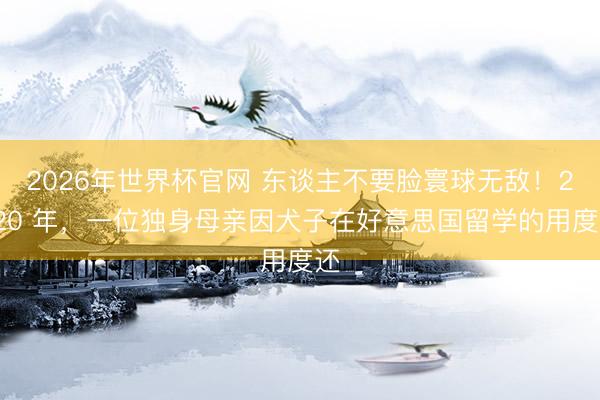 2026年世界杯官网 东谈主不要脸寰球无敌！2020 年，一位独身母亲因犬子在好意思国留学的用度还