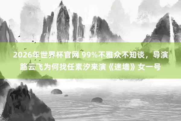 2026年世界杯官网 99%不雅众不知谈，导演路云飞为何找任素汐来演《迷墙》女一号